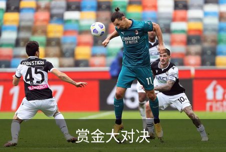 关于赏金大对决